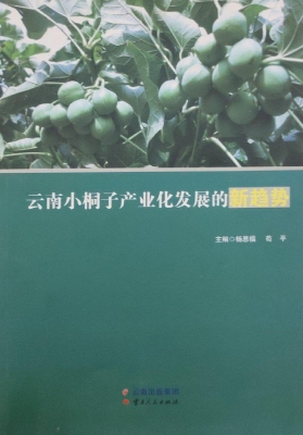 云南小桐子产业发展的
