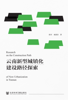 云南新型城镇化建设路