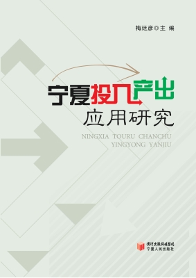 宁夏投入产出应用研究