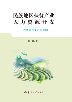民族地区扶贫产业人力