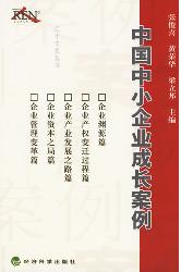 中国中小企业成长案例