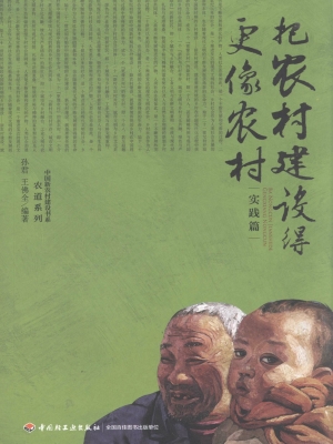 把农村建设得更像农村
