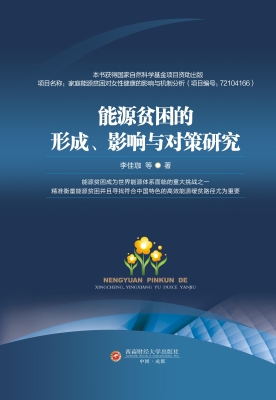 能源贫困的形成、影响