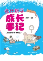 会计新手成长手记