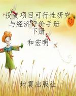 投资项目可行性研究与