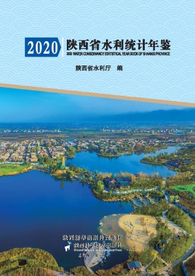 2020陕西省水利统计年