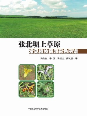 张北坝上草原常见植物