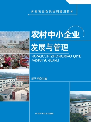 农村中小企业发展与管