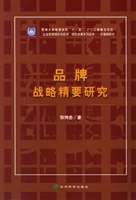 品牌战略精要研究
