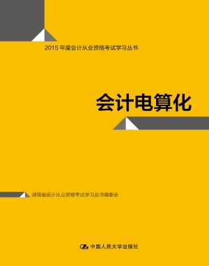 会计电算化