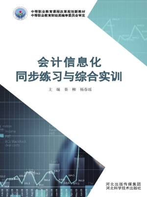会计信息化同步练习与