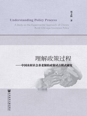 理解政策过程——中国