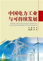 中国电力工业与可持续