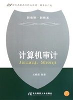 计算机审计