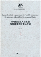 非寿险企业风险度量与