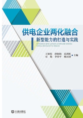 供电企业两化融合新型