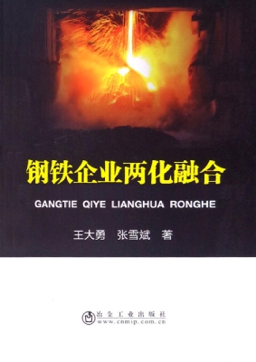 钢铁企业两化融合