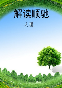 解读顺驰