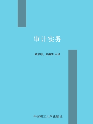 审计实务
