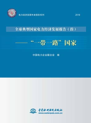 全球典型国家电力经济