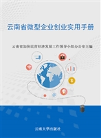 云南省微型企业创业实
