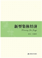 新型集体经济