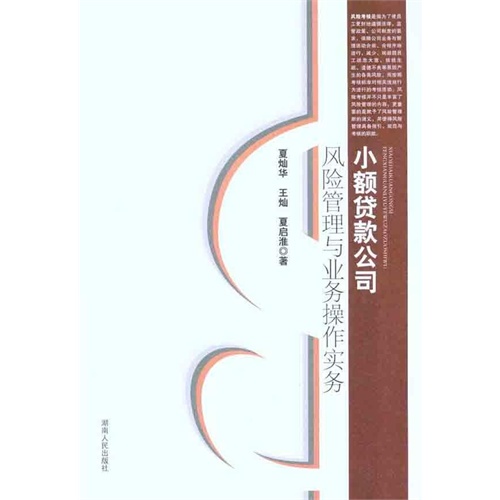 小额贷款公司风险管理