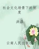 社会文化场景下的制度
