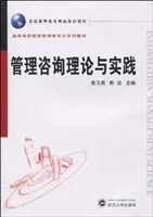 管理咨询理论与实践