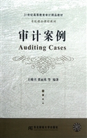 审计案例