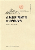 企业集团风险管控会计