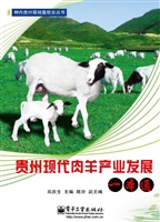 贵州现代肉羊产业发展