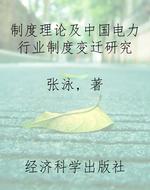 制度理论及中国电力行