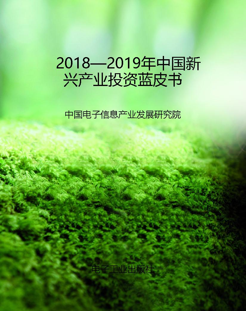 2018—2019年中国新兴