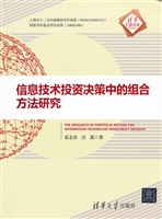 信息技术投资决策中的