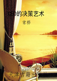CEO的决策艺术