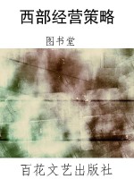 西部经营策略