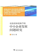社会资本视角下的中小