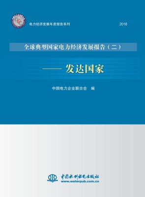 全球典型国家电力经济