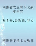 湖南省农业现代化战略