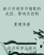 新兴市场货币错配的成
