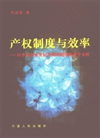 产权制度与效率：以乡镇