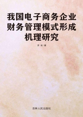我国电子商务企业财务