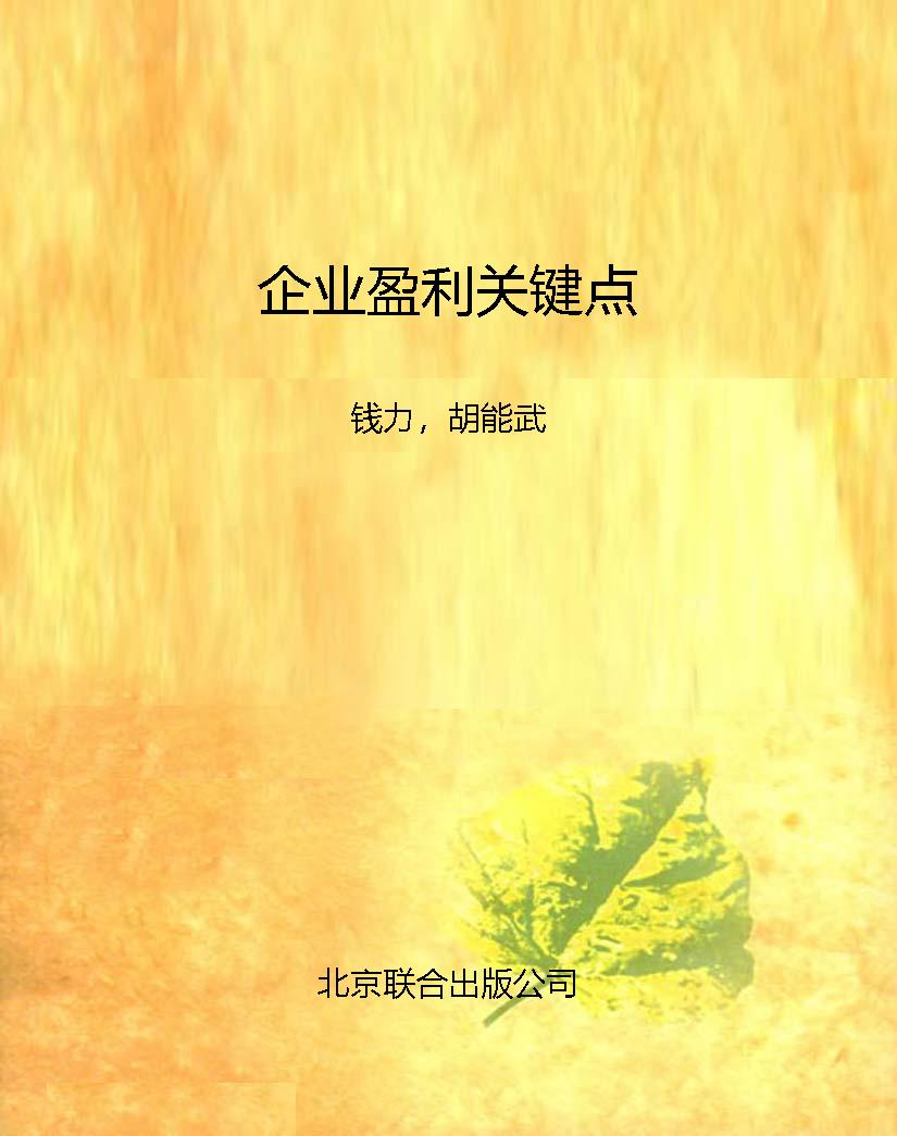 企业盈利关键点