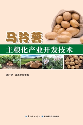 马铃薯主粮化产业开发