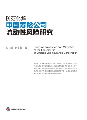防范化解中国寿险公司