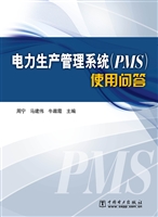 电力生产管理系统（PMS）