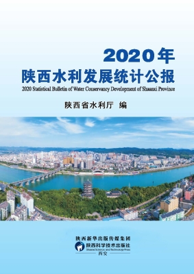 2020年陕西水利发展统
