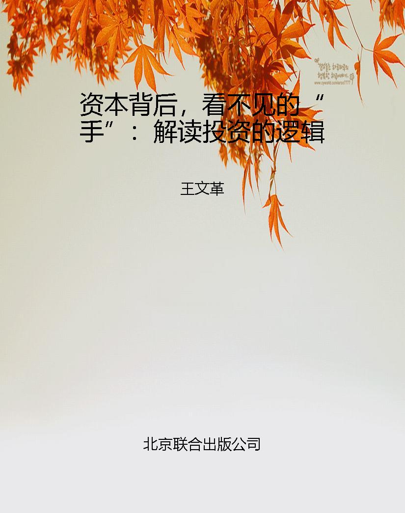 资本背后，看不见的“手