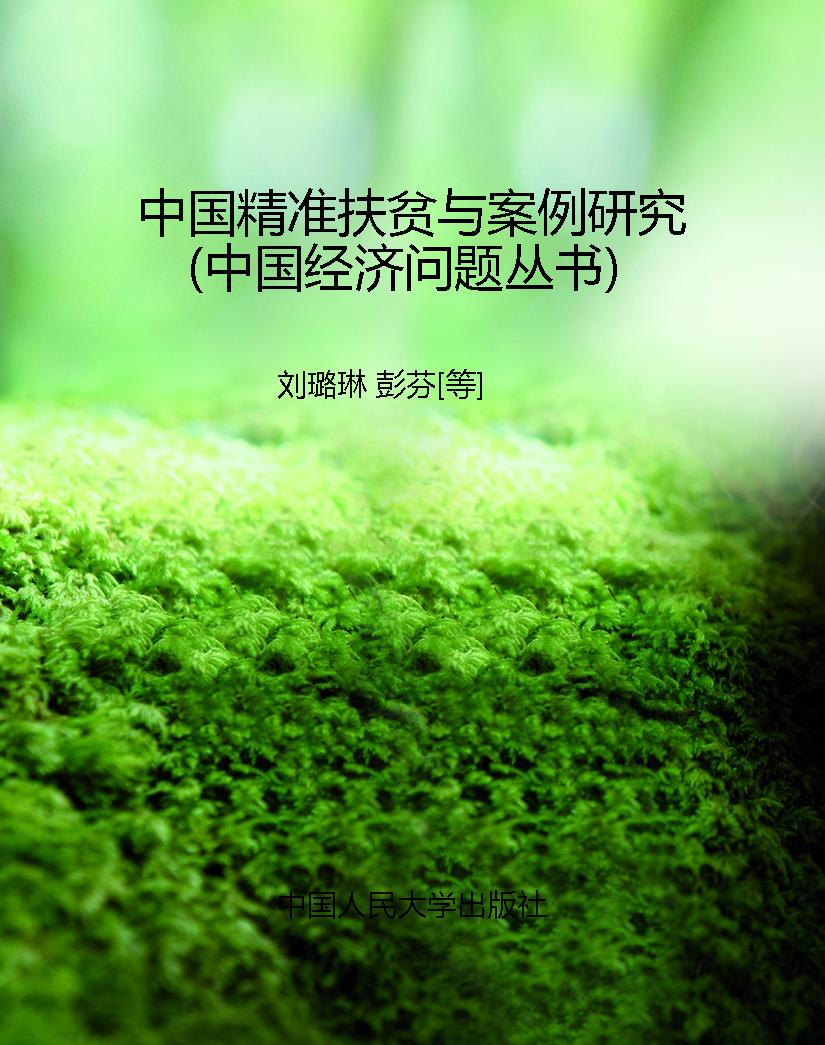 中国精准扶贫与案例研